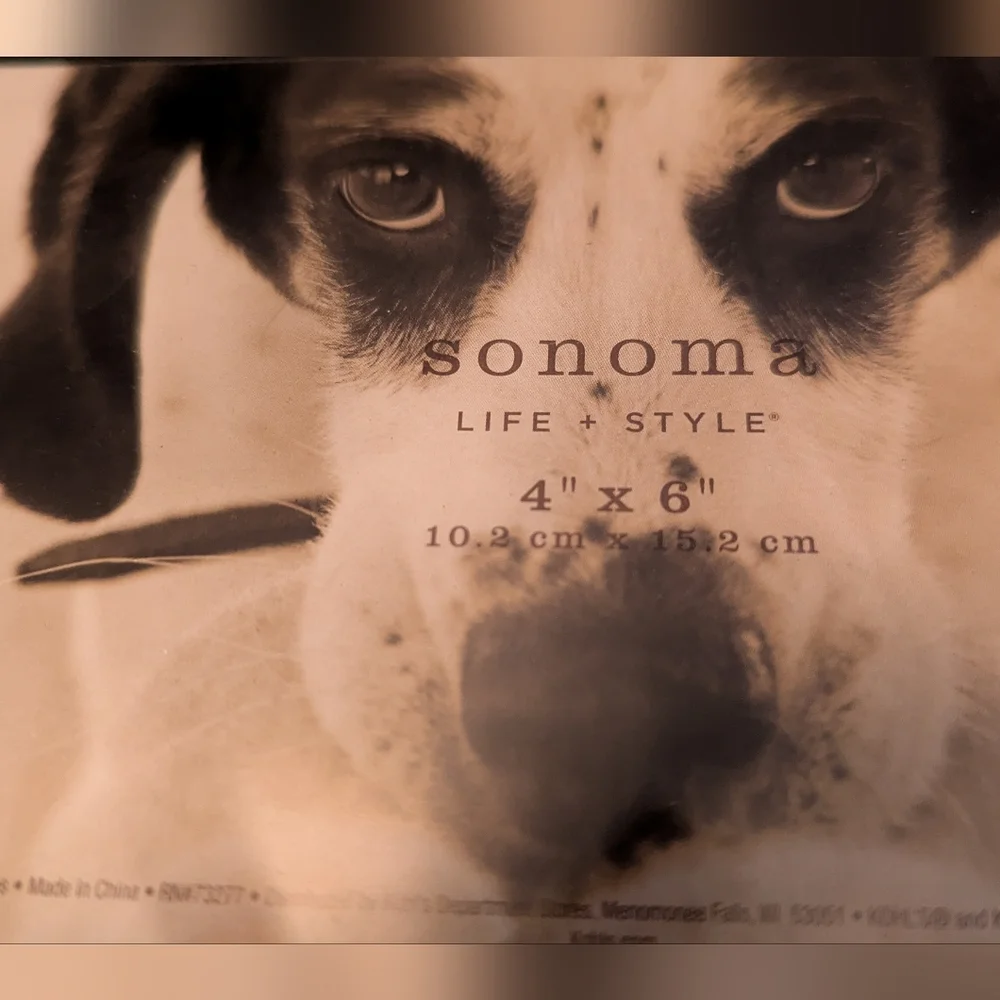 WOOF 4x6 Frame with Bling Dog Bone NIB